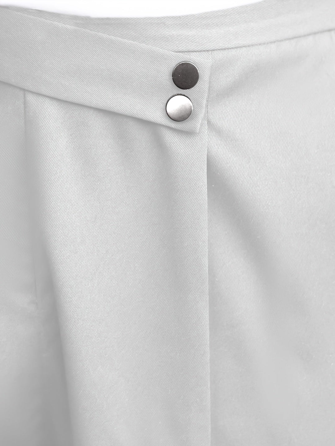 Tailored Pleated Pants