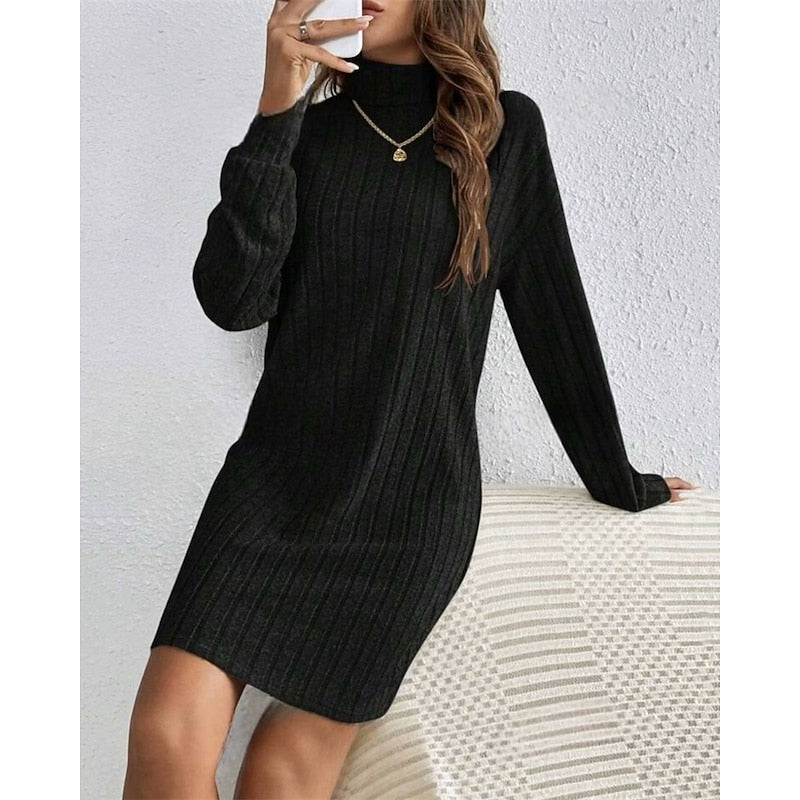 Ribbed Turtleneck Dress