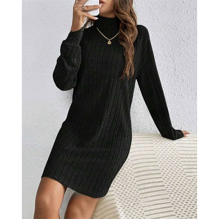 Ribbed Turtleneck Dress