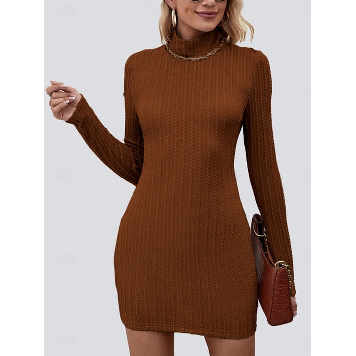 Cozy Turtleneck Dress
