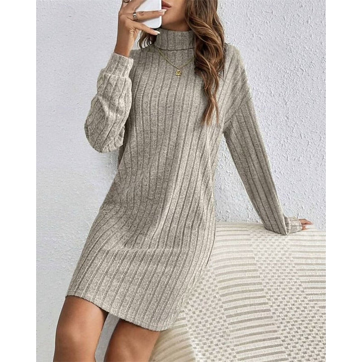 Ribbed Turtleneck Dress