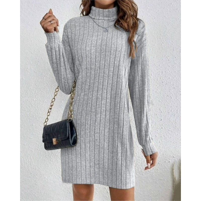 Ribbed Turtleneck Dress