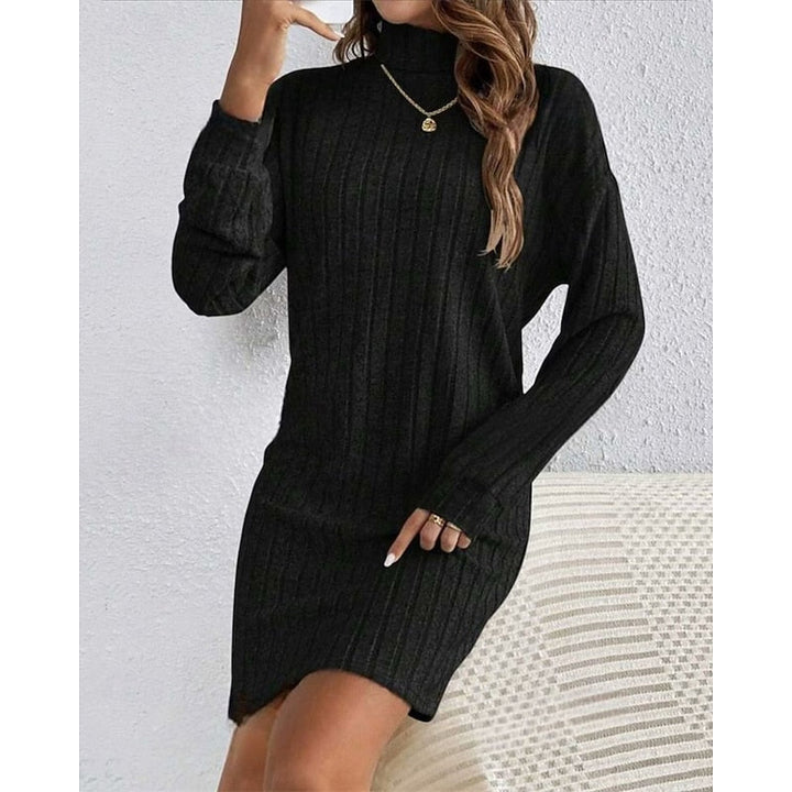 Ribbed Turtleneck Dress
