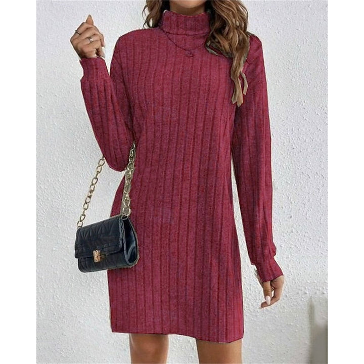 Ribbed Turtleneck Dress