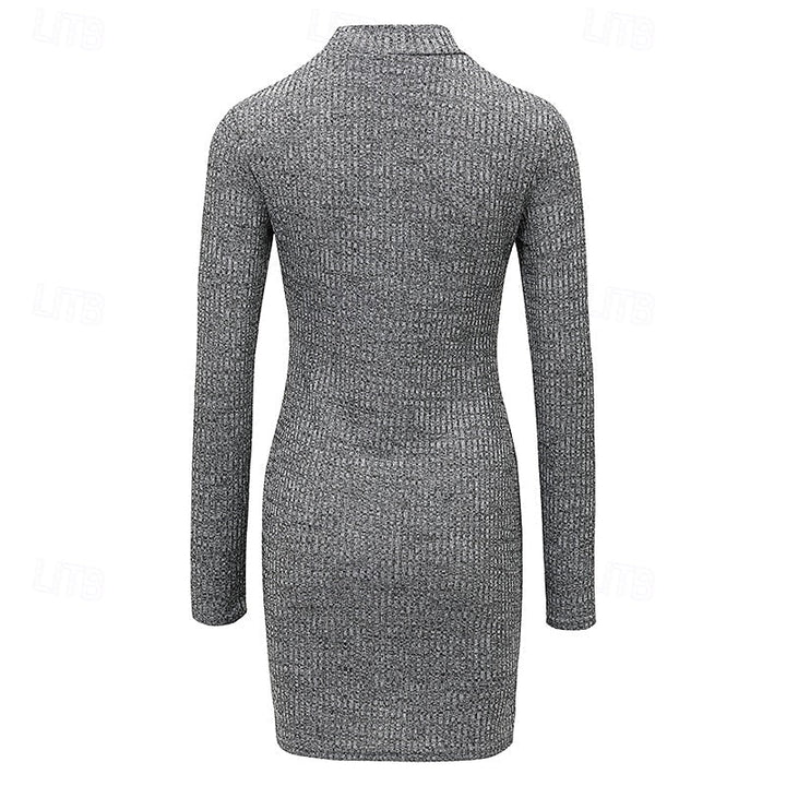 Ribbed Turtleneck Sweater Dress