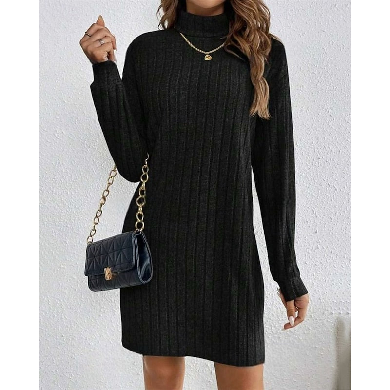 Ribbed Turtleneck Dress