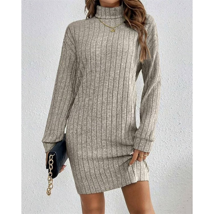 Ribbed Turtleneck Dress