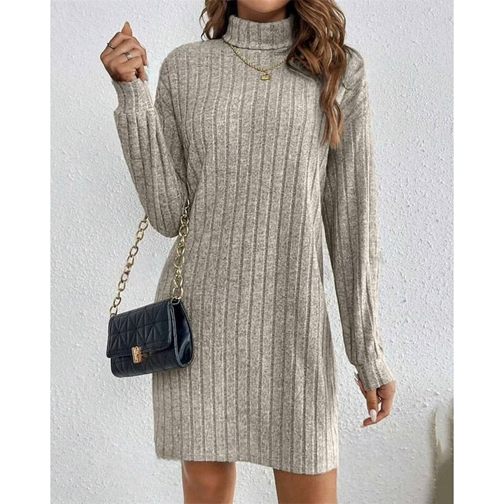 Ribbed Turtleneck Dress